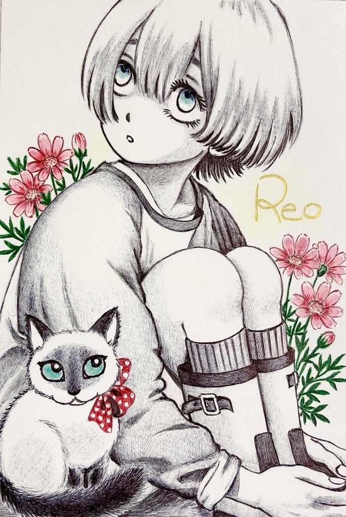 猫と秋桜