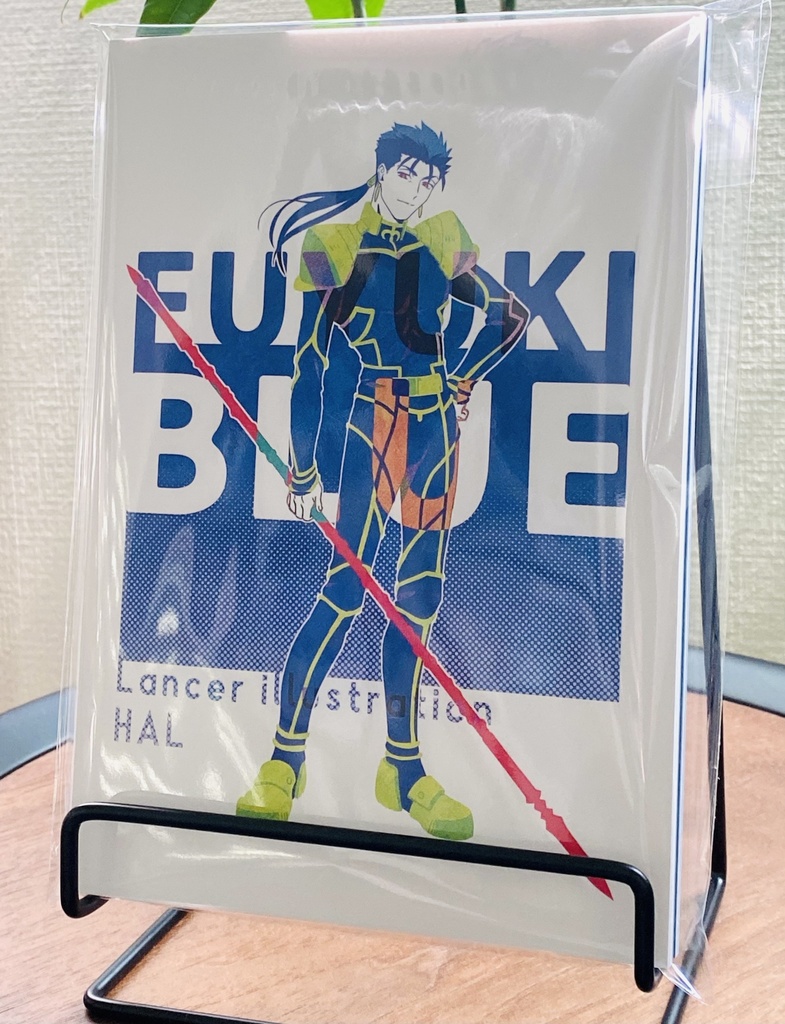 五次ランサー単体フルカラーイラスト本【あんしんBOOTHパック】