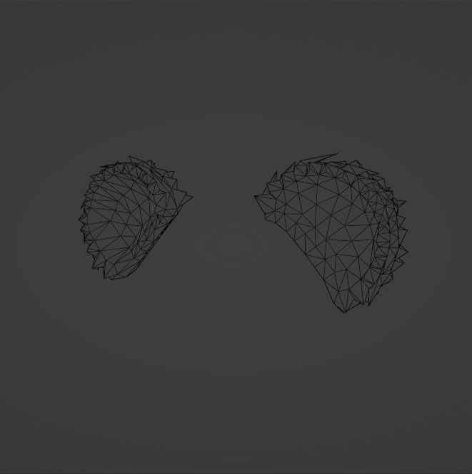 (VRC)Bear Ears&Tail RIGGED! OPTIMIZED! COMMERCIAL/PERSONAL