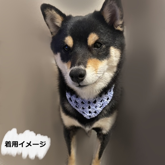 ワンちゃん用スタイ<バンダナ風>