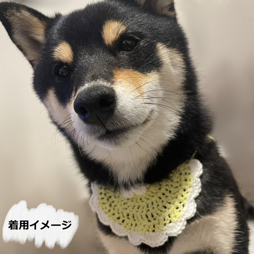 ワンちゃん用スタイ