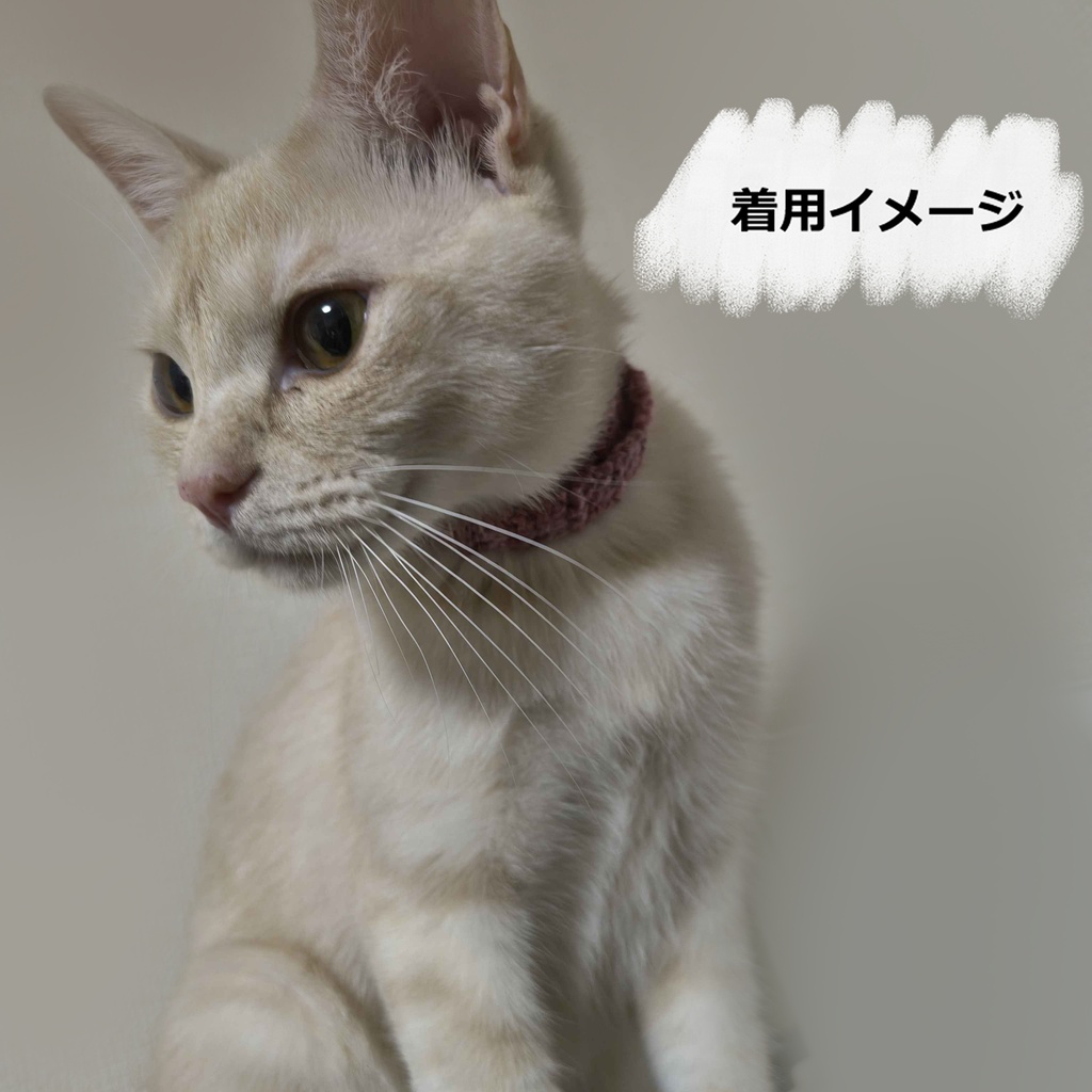 ネコちゃん用首輪