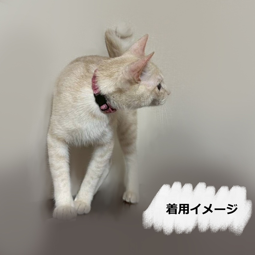 ネコちゃん用首輪