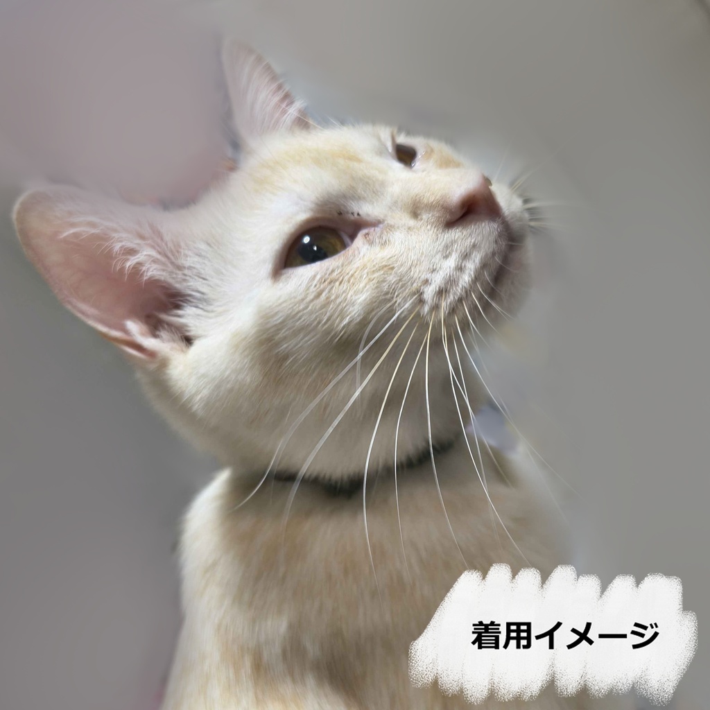 ネコちゃん用首輪