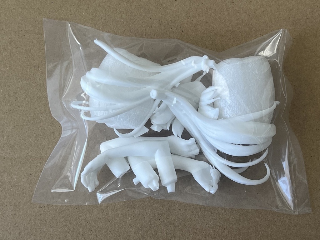 阿慈谷ヒフミ水着コンパチキット