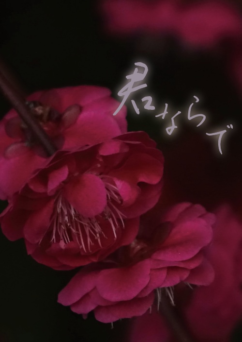 【尾杉】君ならで