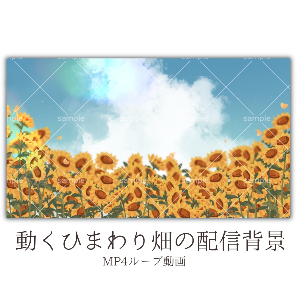 【動く】青空のひまわり畑【配信素材】