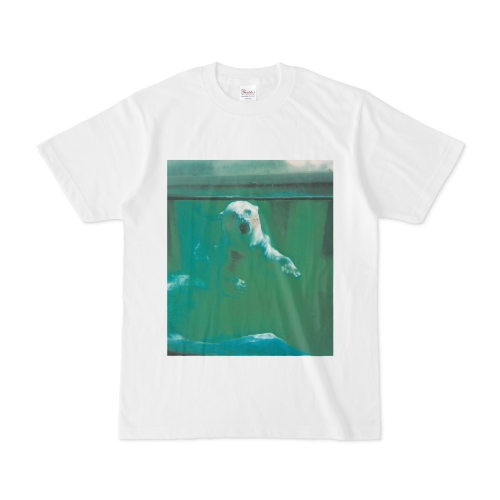 動物-animal_ホッキョクグマ-Polar Bear