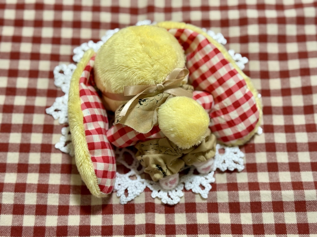 おひさまうさぎさん☀🐇