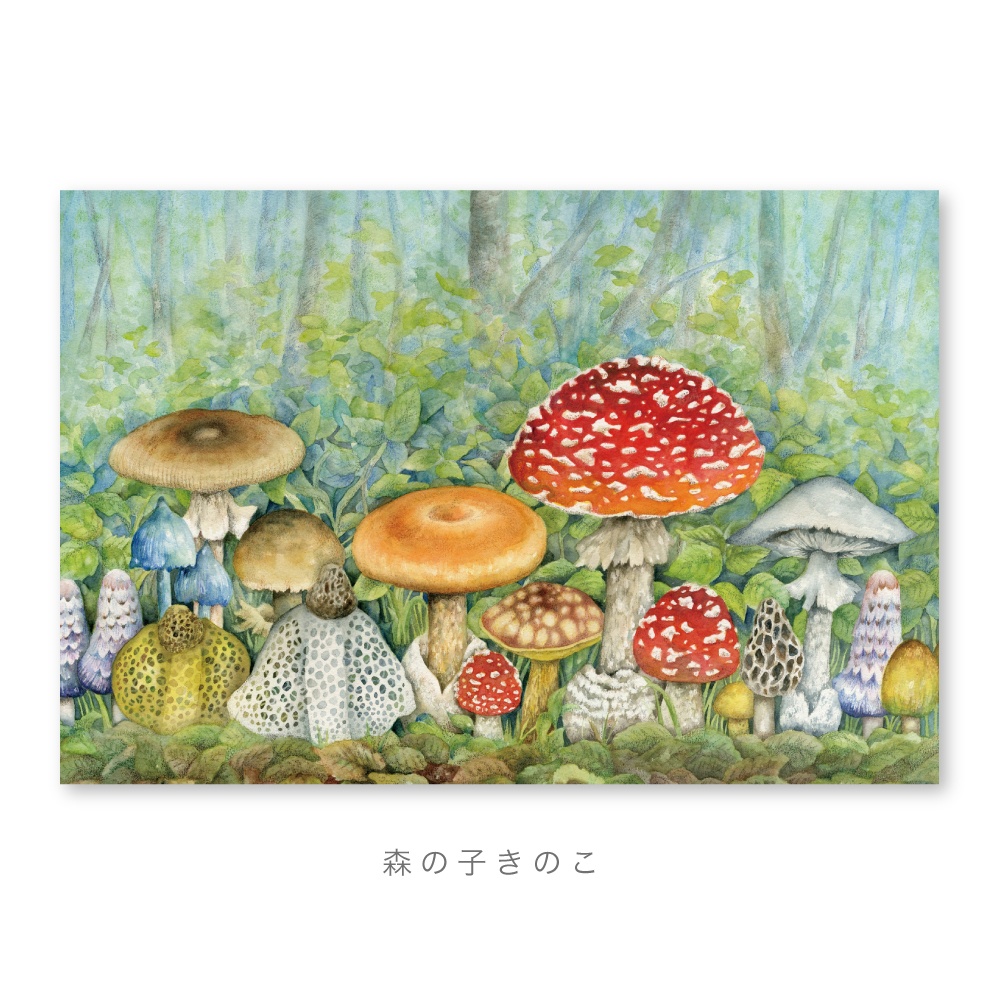 A4サイズ ポスター(きのこ・01)