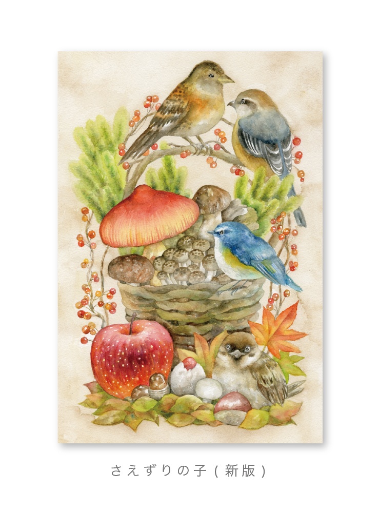 ポストカード( きのこ・01 )