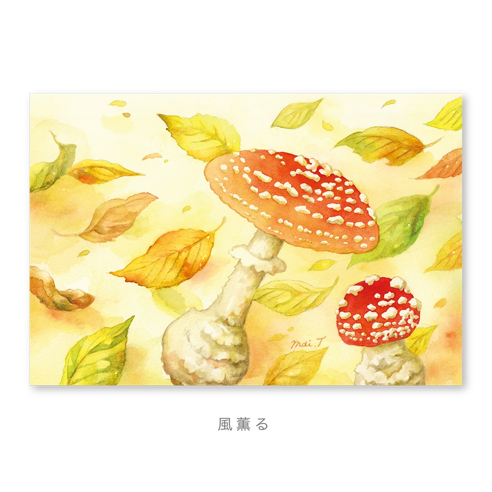 ポストカード( きのこ・01 )