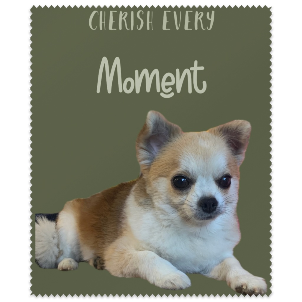 チワワのモネちゃん、メガネ拭き🐶ྀི