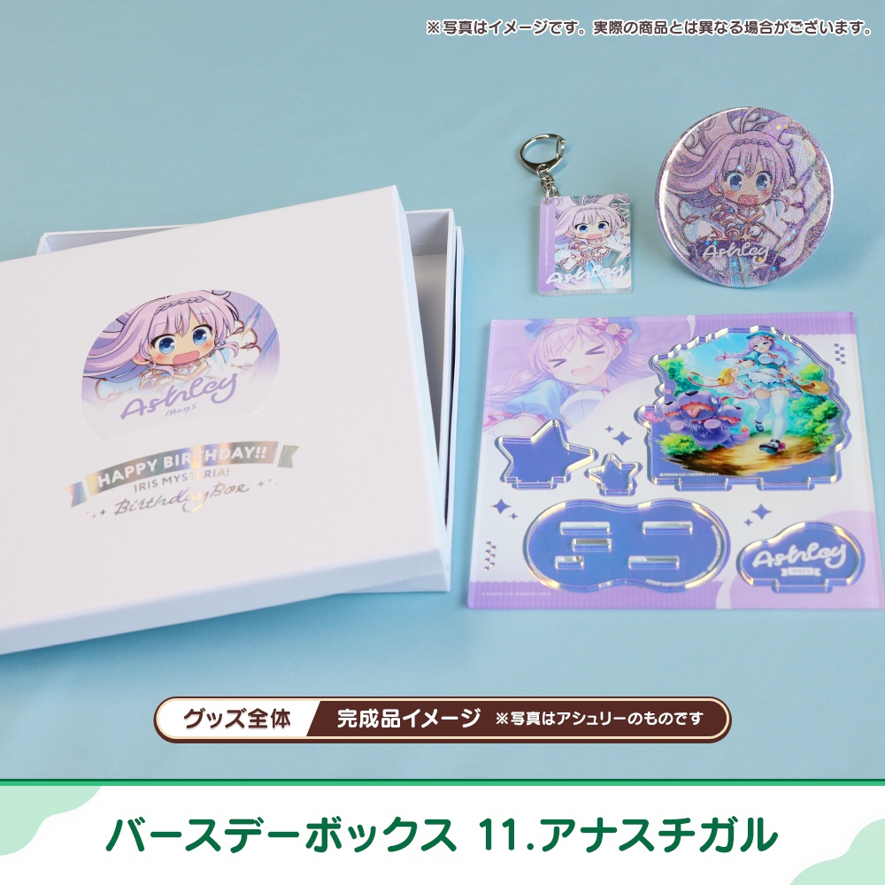 『あいミス』バースデーボックス 11/アナスチガル