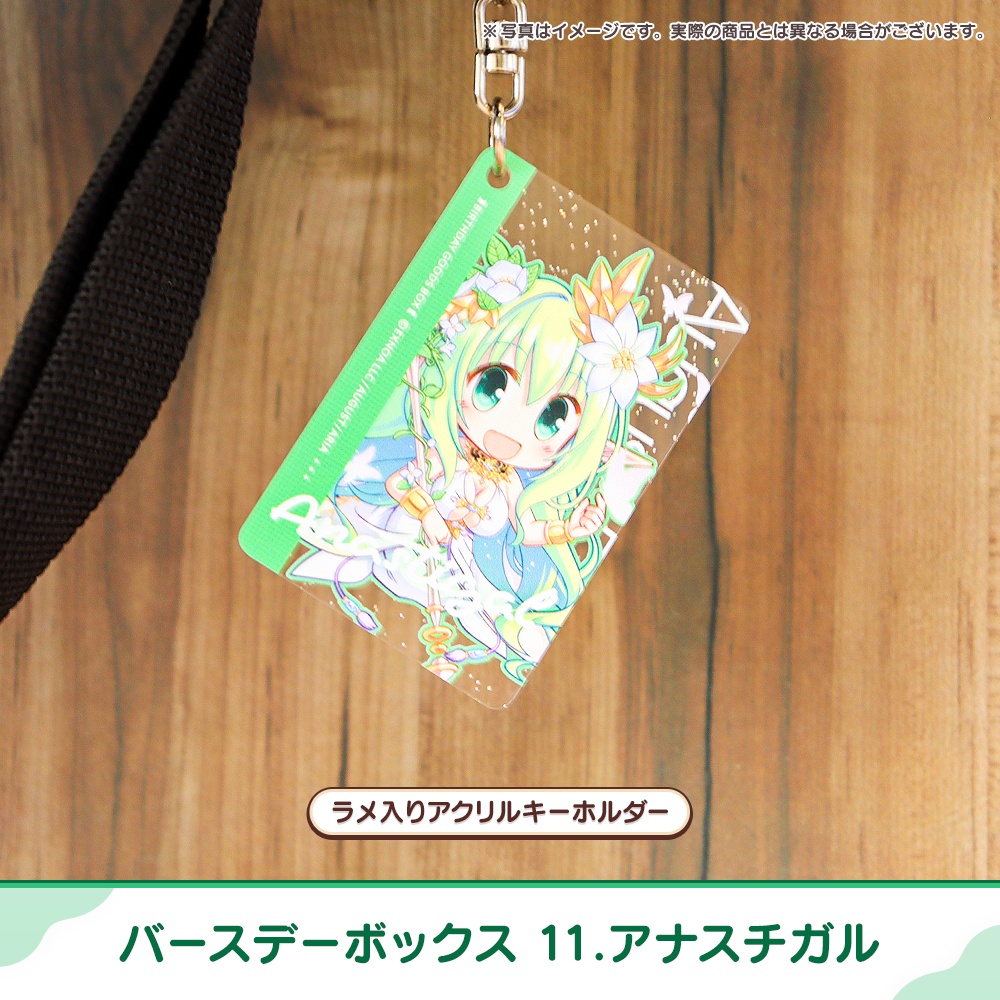 『あいミス』バースデーボックス 11/アナスチガル