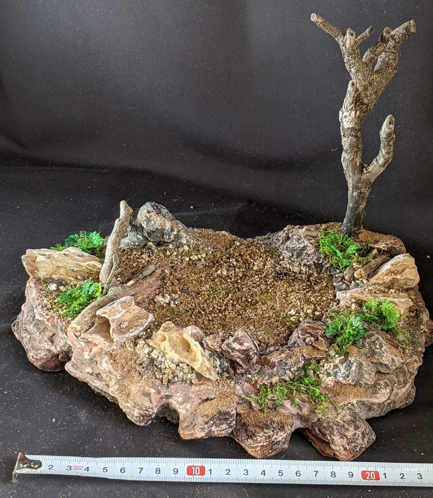 角竜無双(ジオラマベース付)トリケラトプス・ケラトサウルス