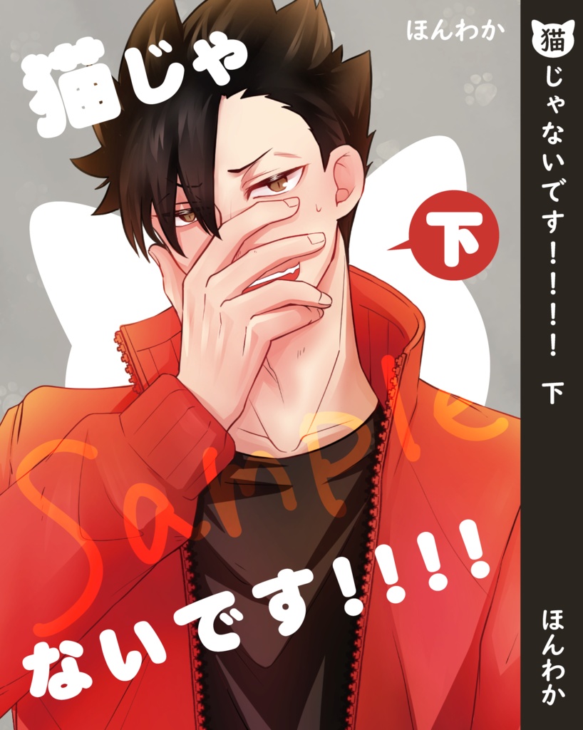 猫じゃないです!!!!上下巻セット【HQ/黒尾鉄朗夢】