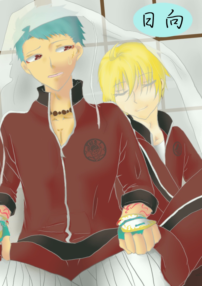 【ぶしんば】日向