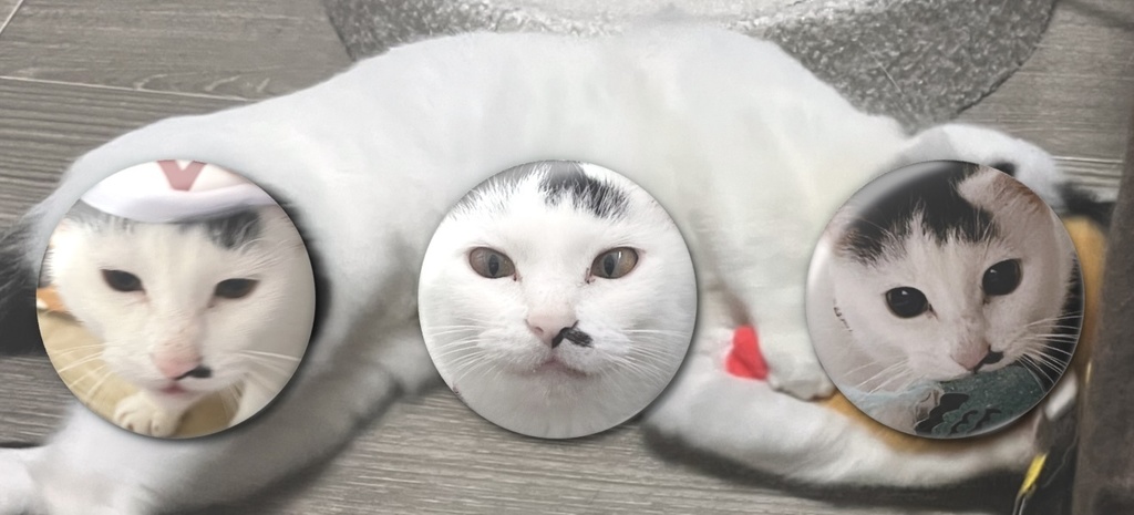 おこげちゃん缶バッジセット