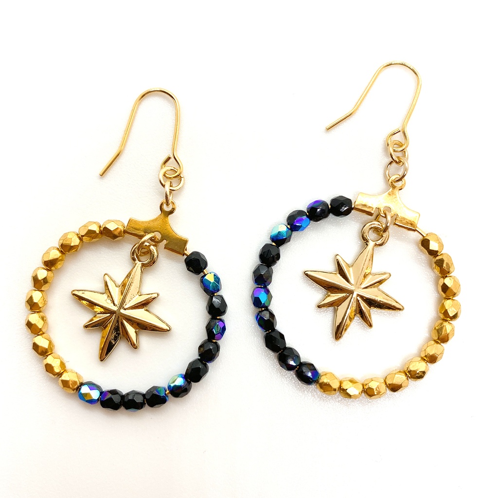 『闇の列車、光の旅』イメージピアス