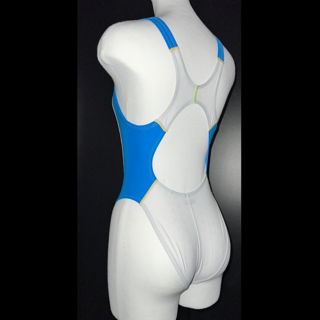 【創作衣装】GVN-1860 Sleeping Beauty【競泳水着】