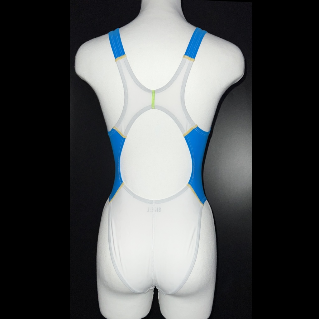 【創作衣装】GVN-1860 Sleeping Beauty【競泳水着】