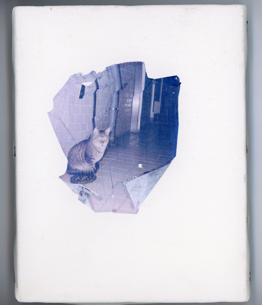 melt #7