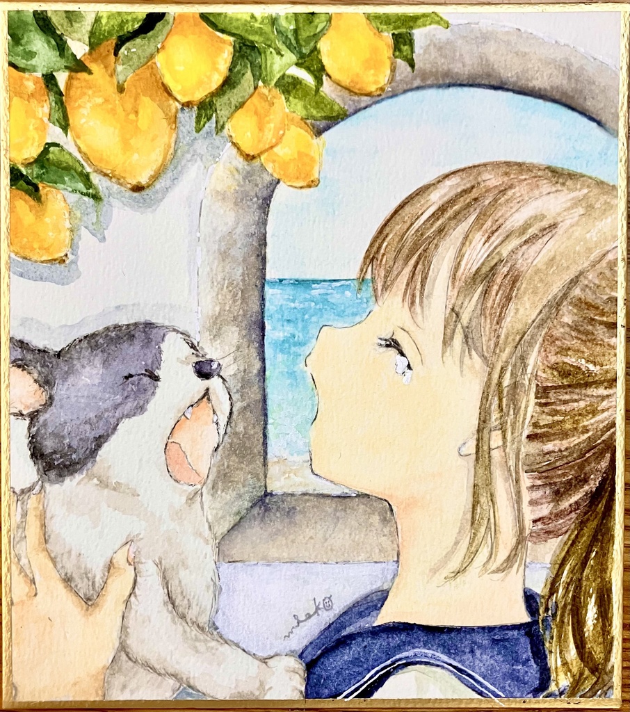 おひるね日和✩.*˚