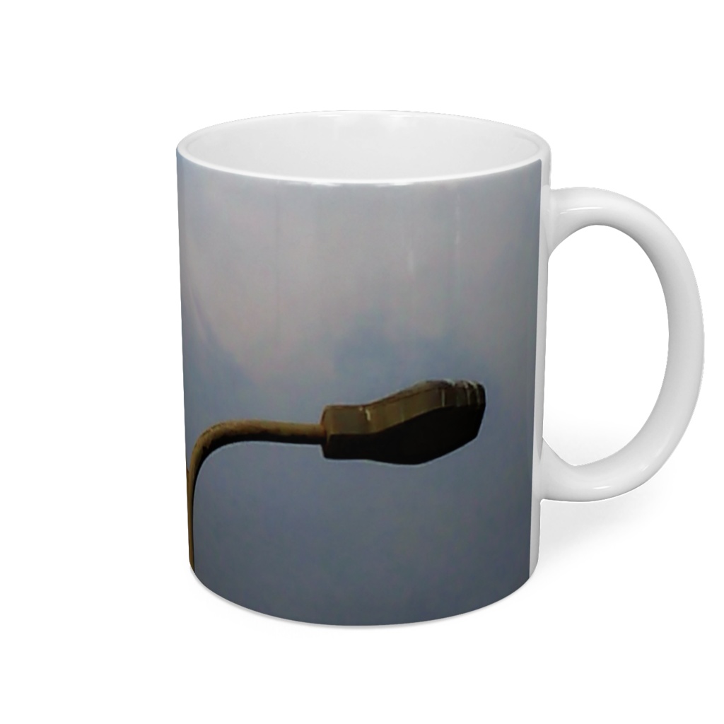 海の鳥は知っている