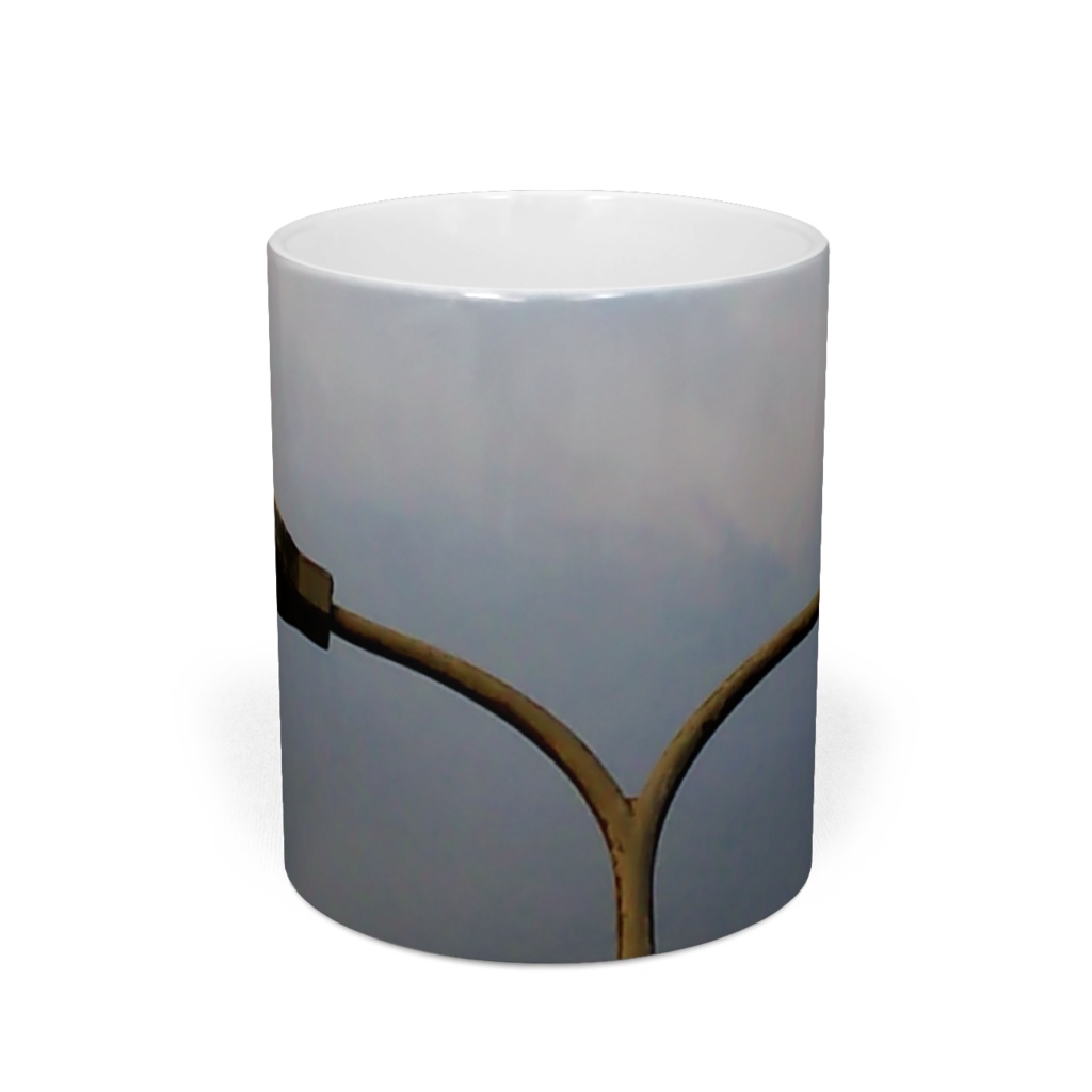 海の鳥は知っている