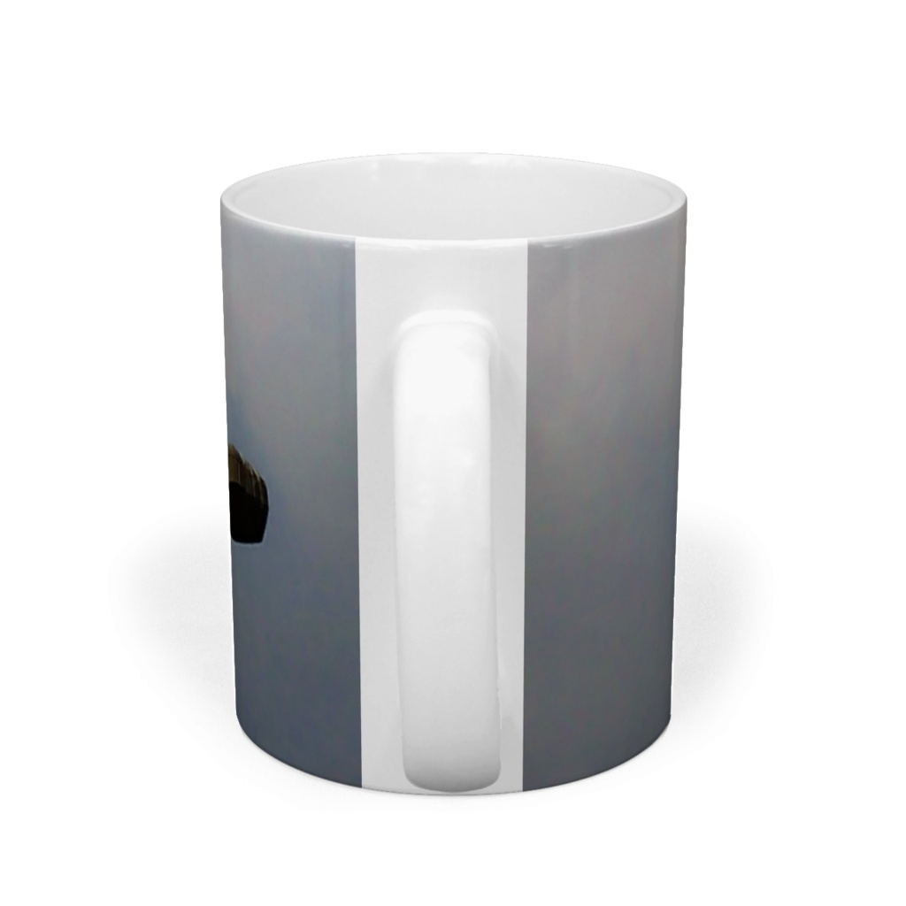 海の鳥は知っている