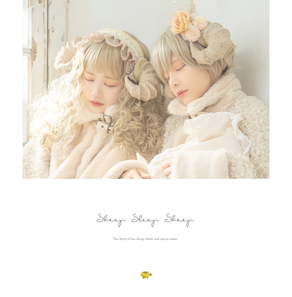 【C99】Sheep Sleep Sheep