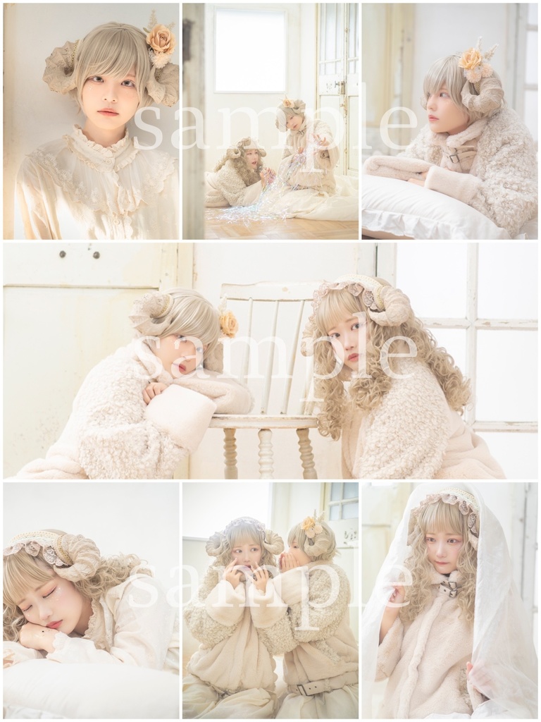 【C99】Sheep Sleep Sheep