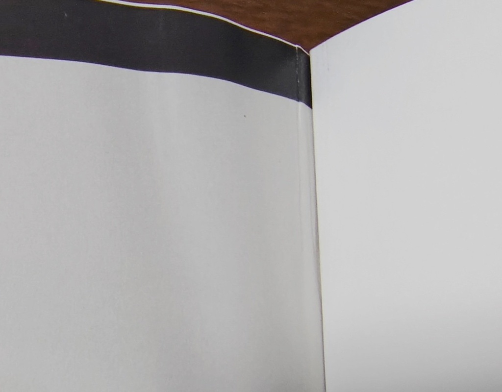 ※折れあり※エルキドゥオンリーイラスト本