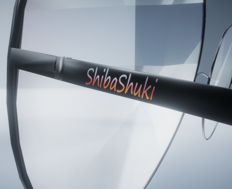 サングラス SunGlasses