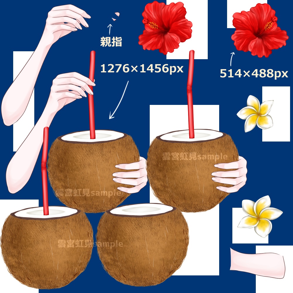 【無料あり】2種類のヤシの実ジュースと手のセット