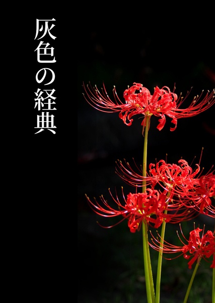 灰色の経典