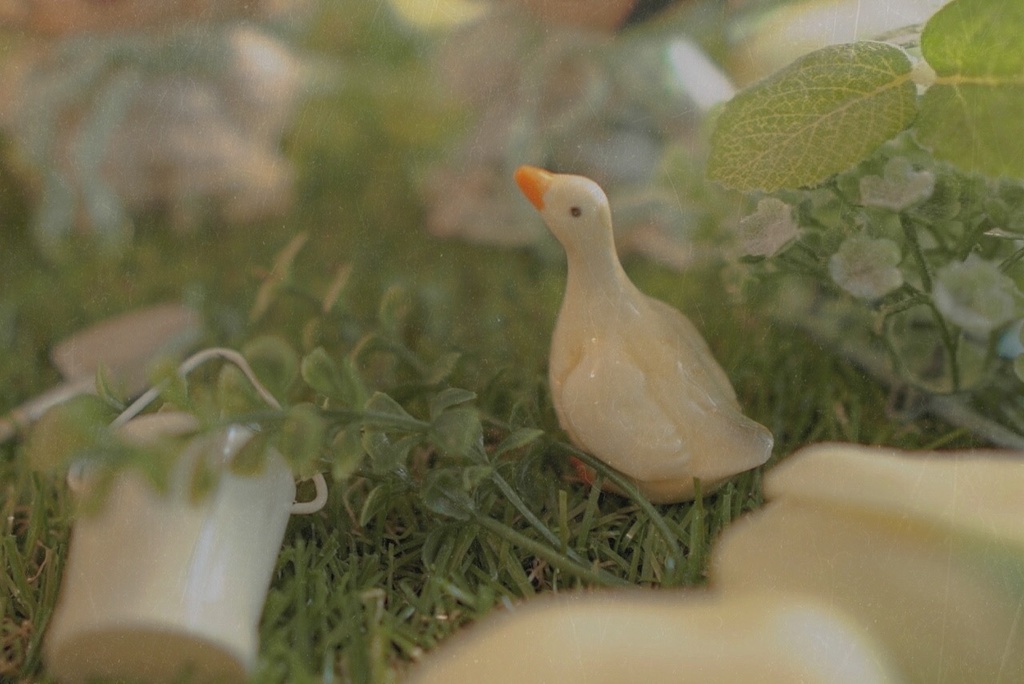 ๐ด๐๐ก๐๐๐ข๐ ๐บ๐๐๐๐๐ .ห