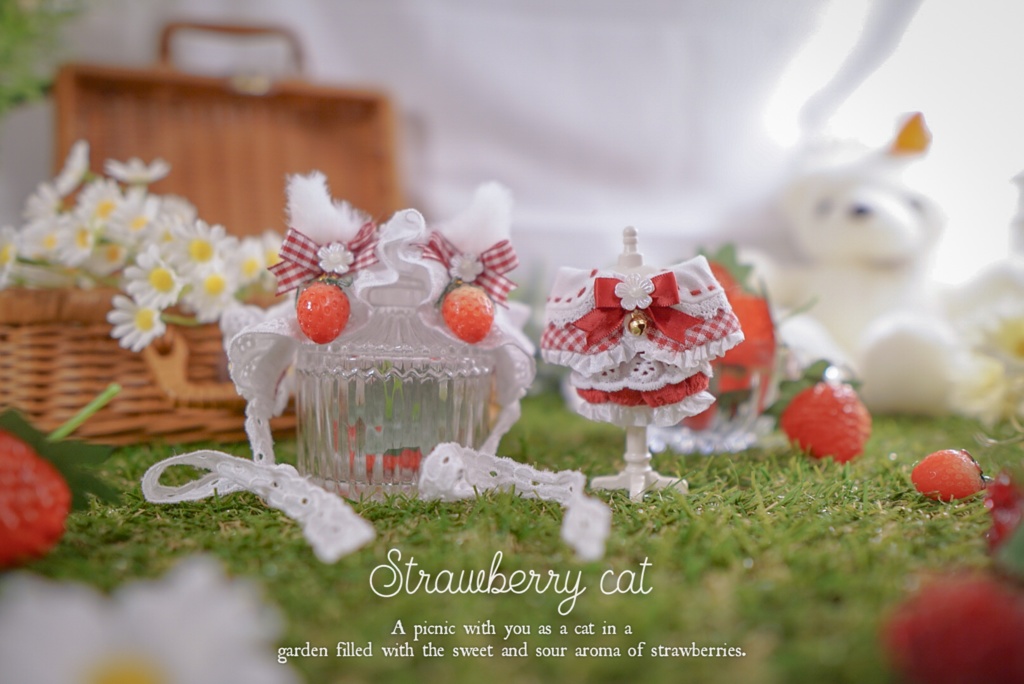 ๐ฎ๐๐๐ถ๐๐ทโฏ๐๐๐ ๐๐ถ๐ ๐