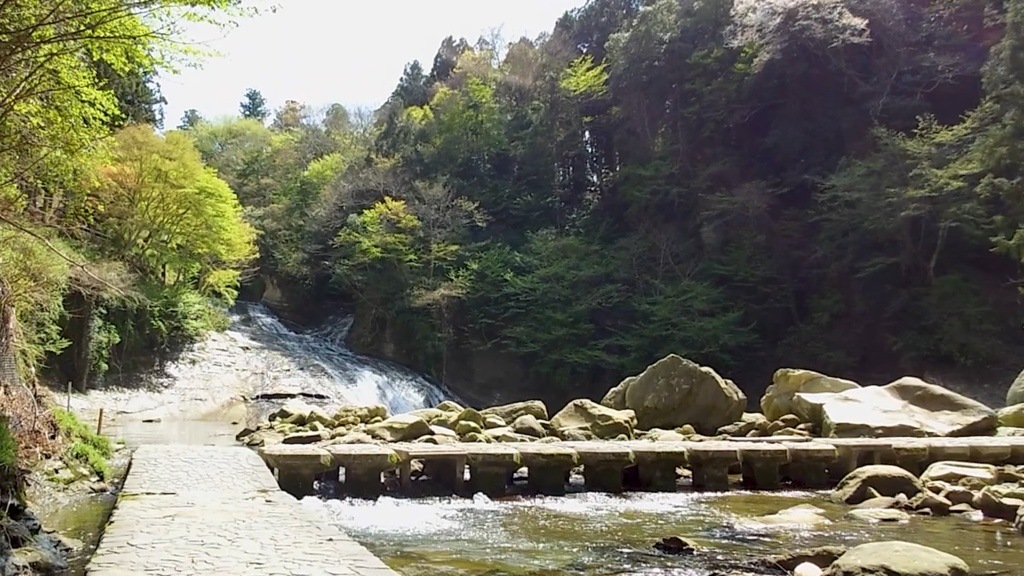 下流のせせらぎ – 滝の先に続く涼やかな水の音