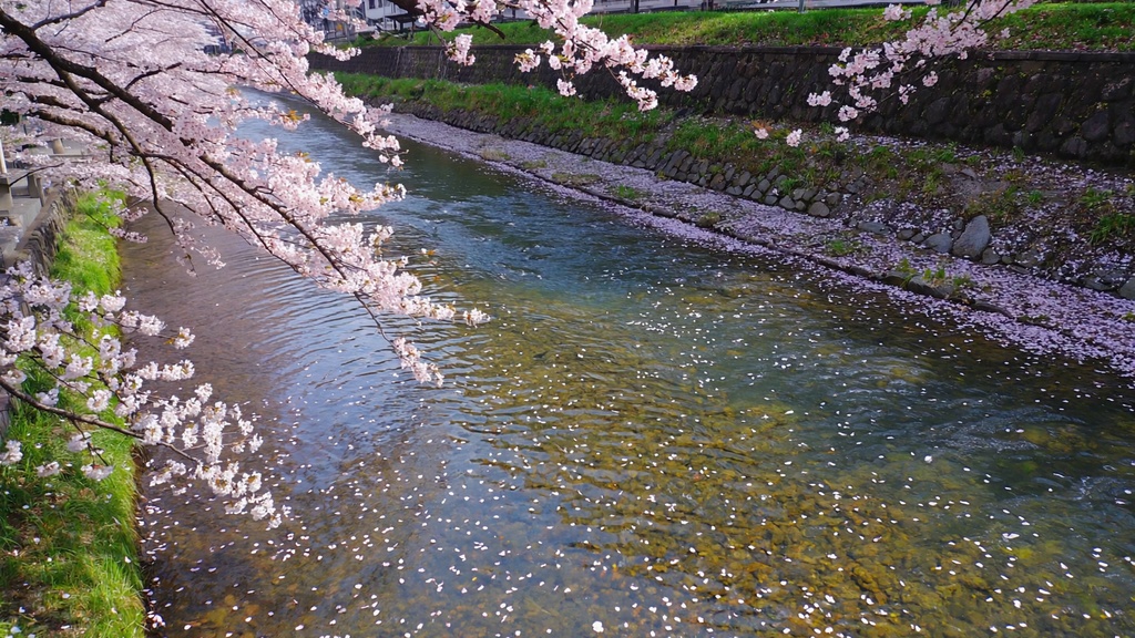 癒しの川音＆鳥のさえずり