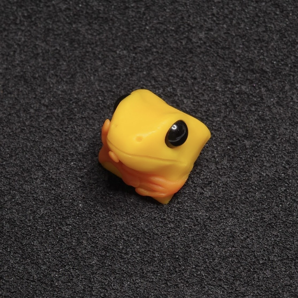 THINK_P.Terribilis R2