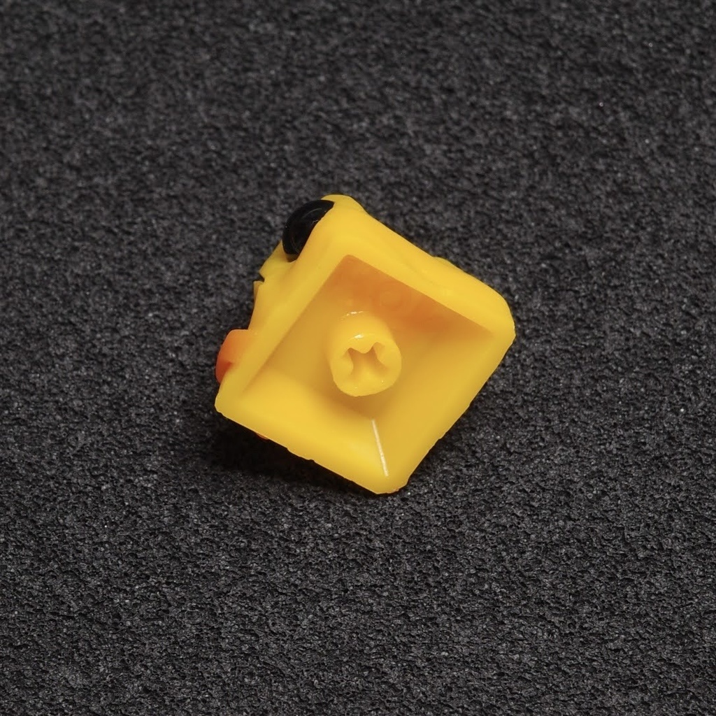 THINK_P.Terribilis R2