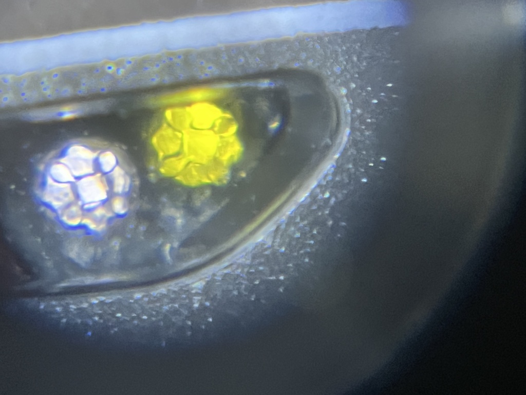 1025A LED搭載車用ヘッドライト LED粒再現プリズム(JR西日本225系向け)