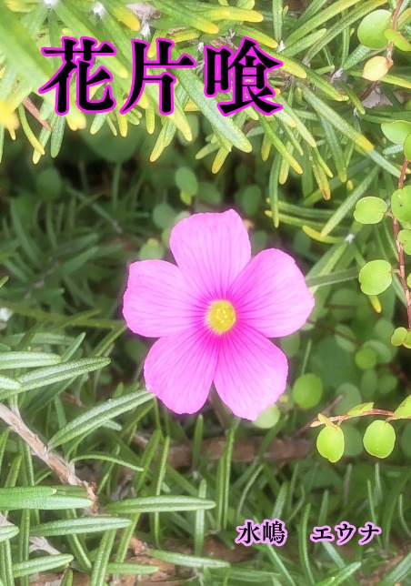 花片喰(ハナカタバミ)