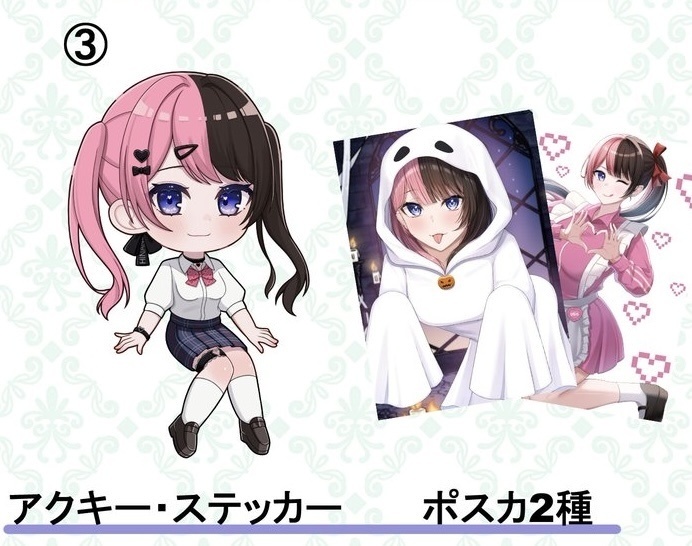ひなのセット　ひなのグッズ➕イラスト本