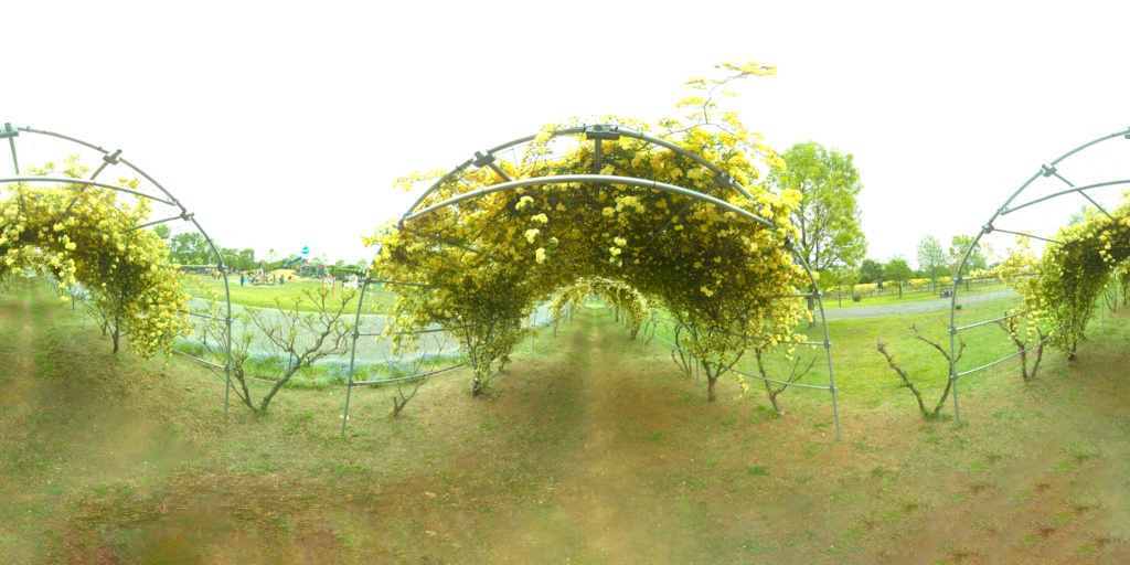 [HDRI]公園03[360度背景]