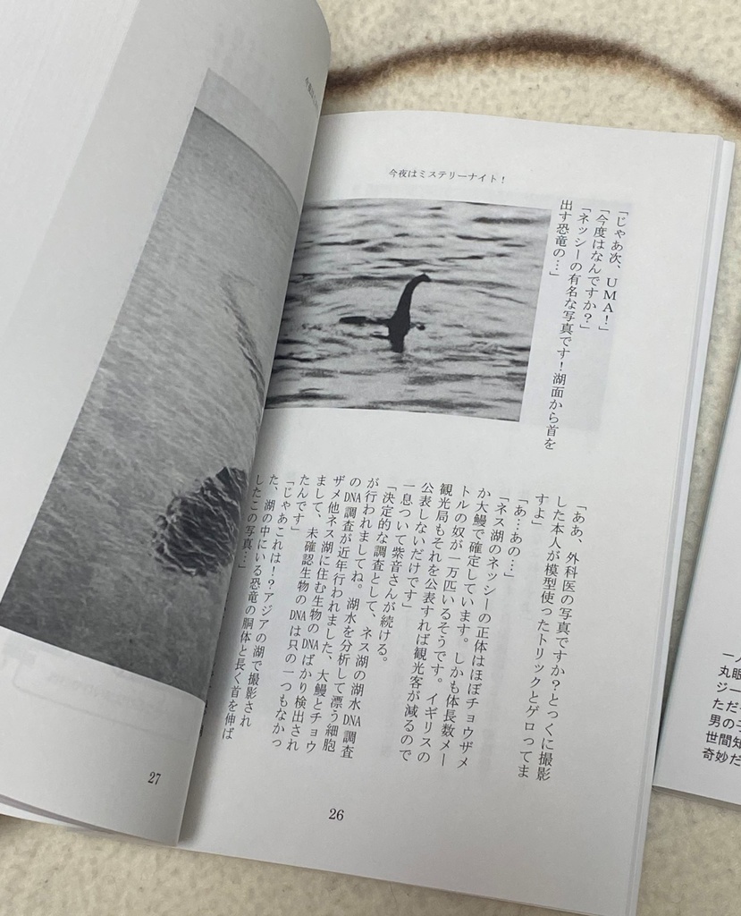 ひゃっはー!ここから先はニャンニャカにゃん!