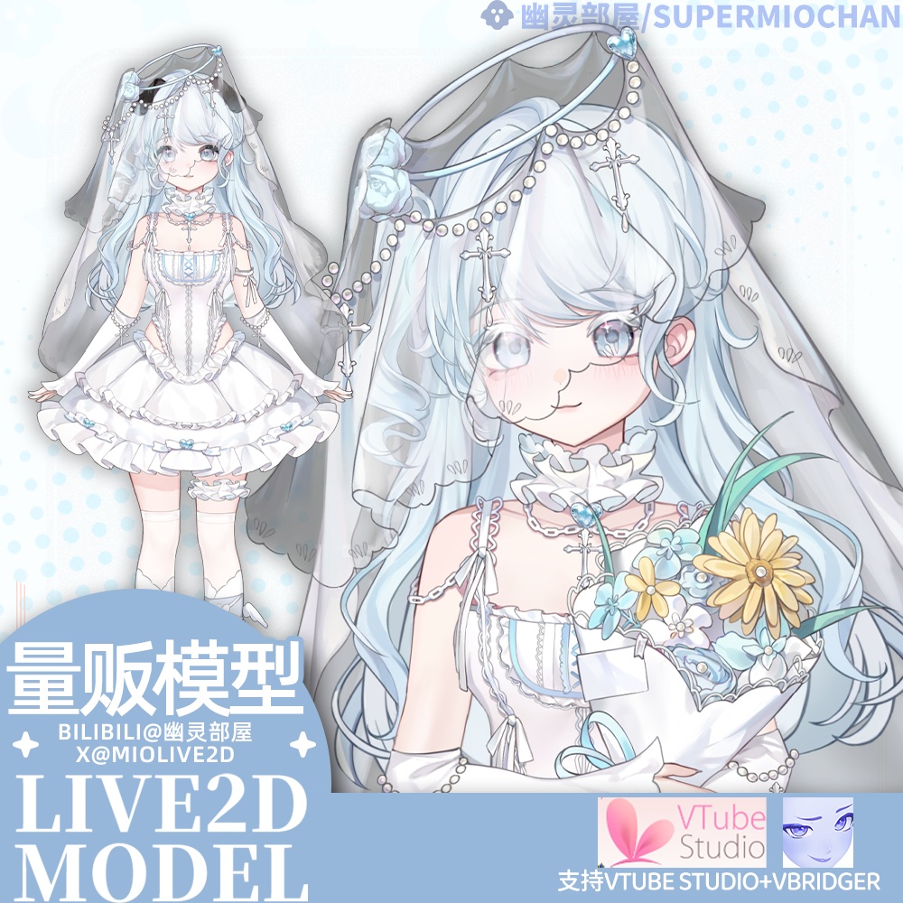Live2D model_汎用モデル_VTS専用_doogy