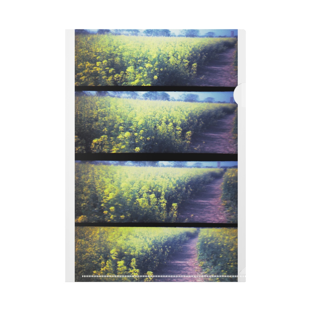 菜の花畑のクリアファイル